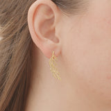 Seagrass Studs